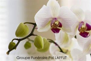 Photo 210415