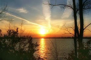 Photo 247306