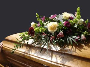 Photo 247483