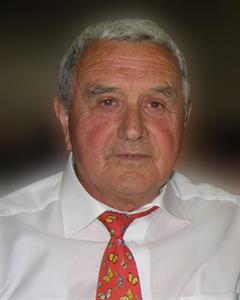 Photo 247539