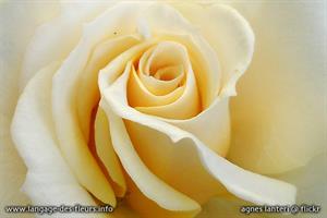 Photo 248664