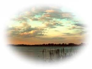 Photo 283882