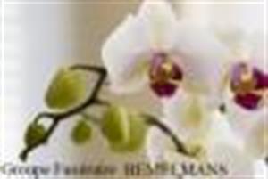 Photo 284017