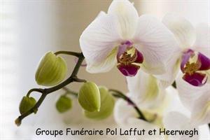 Photo 284025