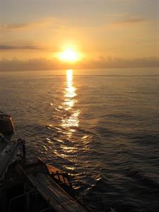 Photo 288539