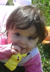 Photo 292780