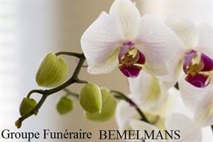 Photo 319364