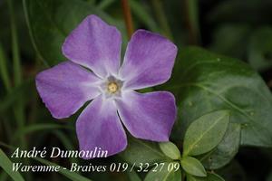 Photo 357174