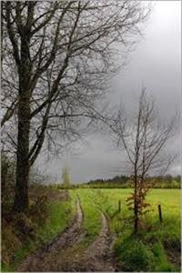 Photo 366972