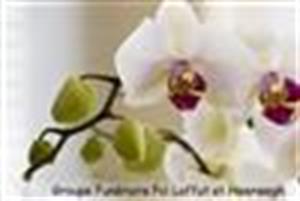 Photo 369642
