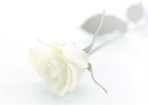 Photo 495550