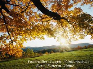 Photo 495565