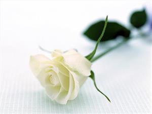 Photo 675227