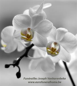 Photo 730013