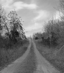 Photo 781083