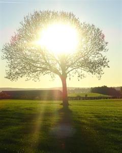 Photo 792567