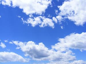 Photo 833262