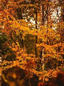 Photo 845547