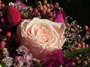 Photo 942552