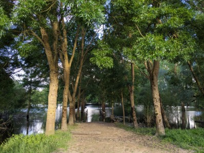 Photo 949069