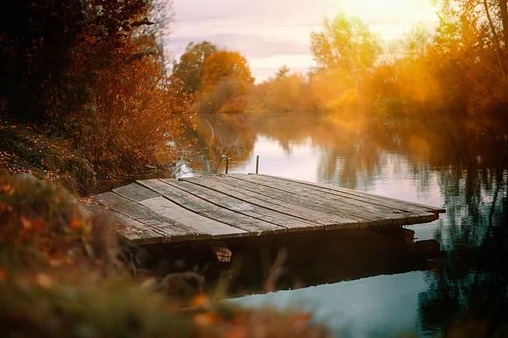 Photo 953560