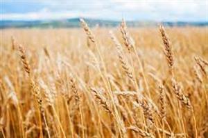 Photo 953756