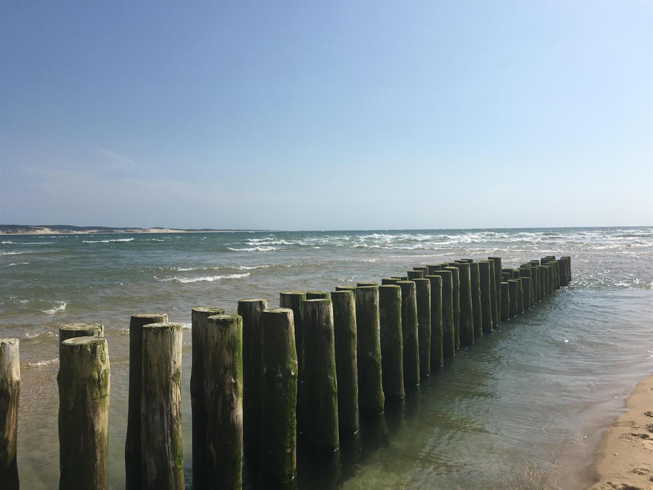 Photo 955863