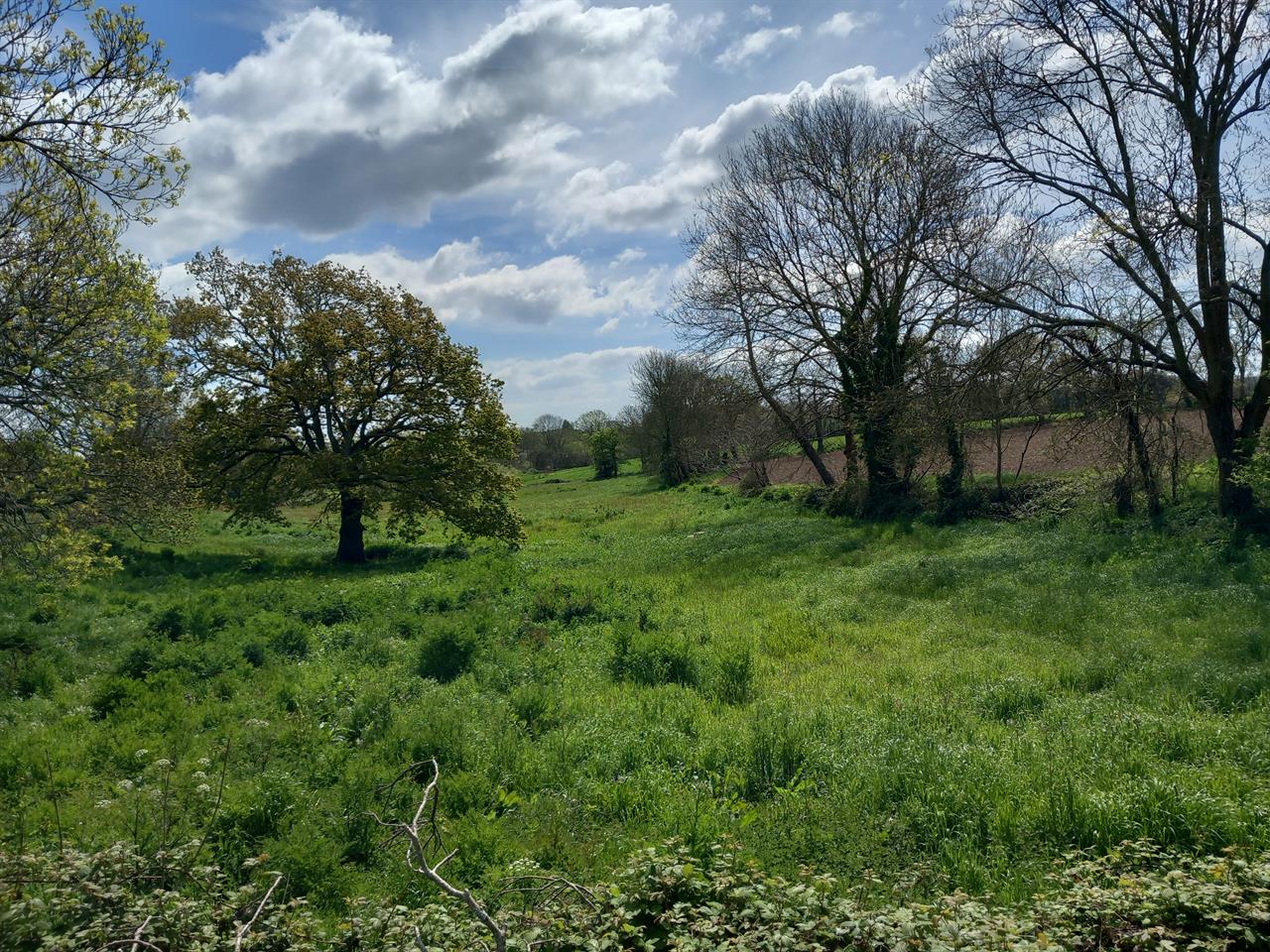 Photo 961237