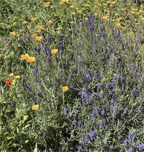 Photo 964878