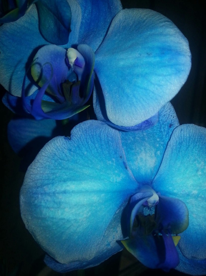 Photo 969113