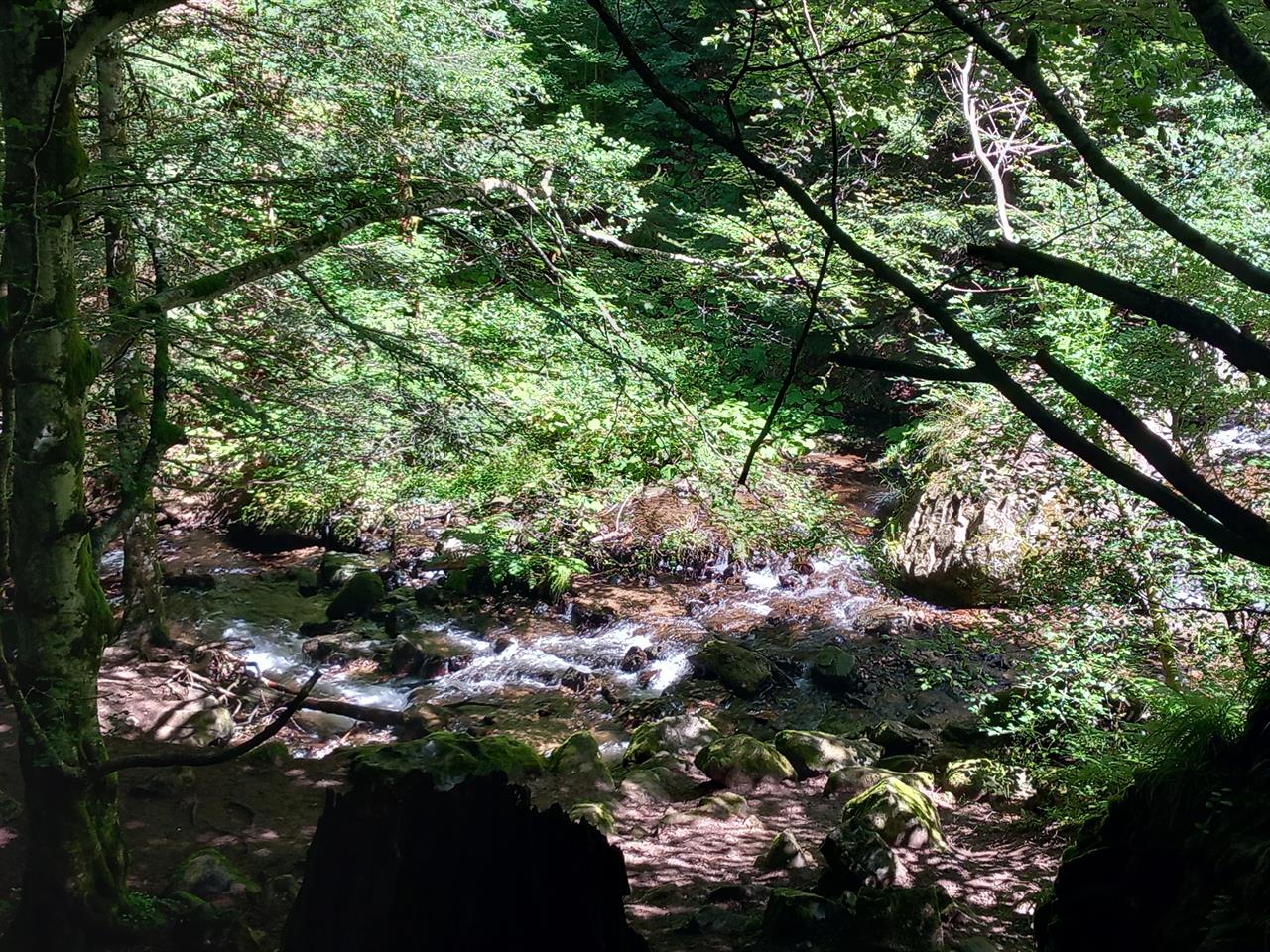 Photo 969367