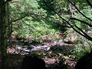 Photo 969367