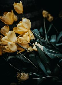 Photo 977732